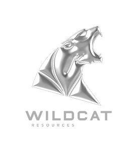 Wildcat Resources logo